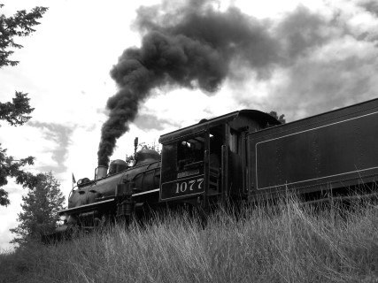 steam train at Fort Steele